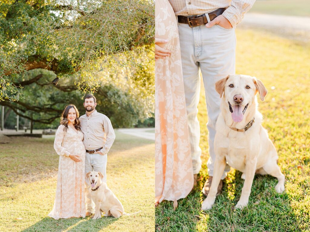 Maternity Session with Dog