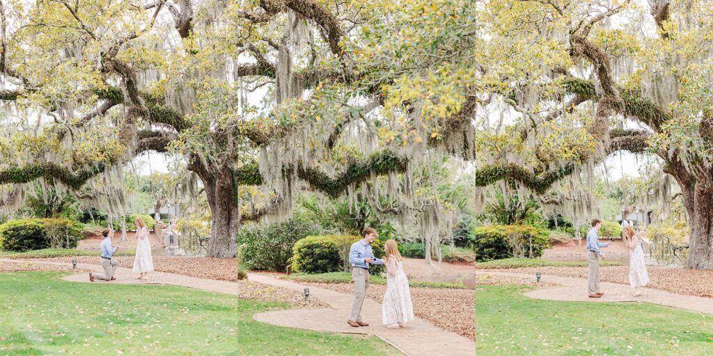Fairhope Proposal 