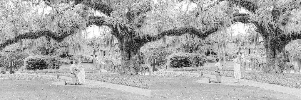 Portraits under mossy trees