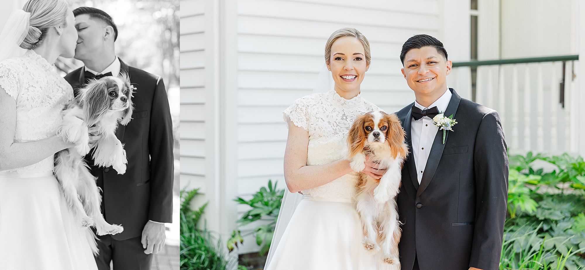 Couple with their dog on wedding day