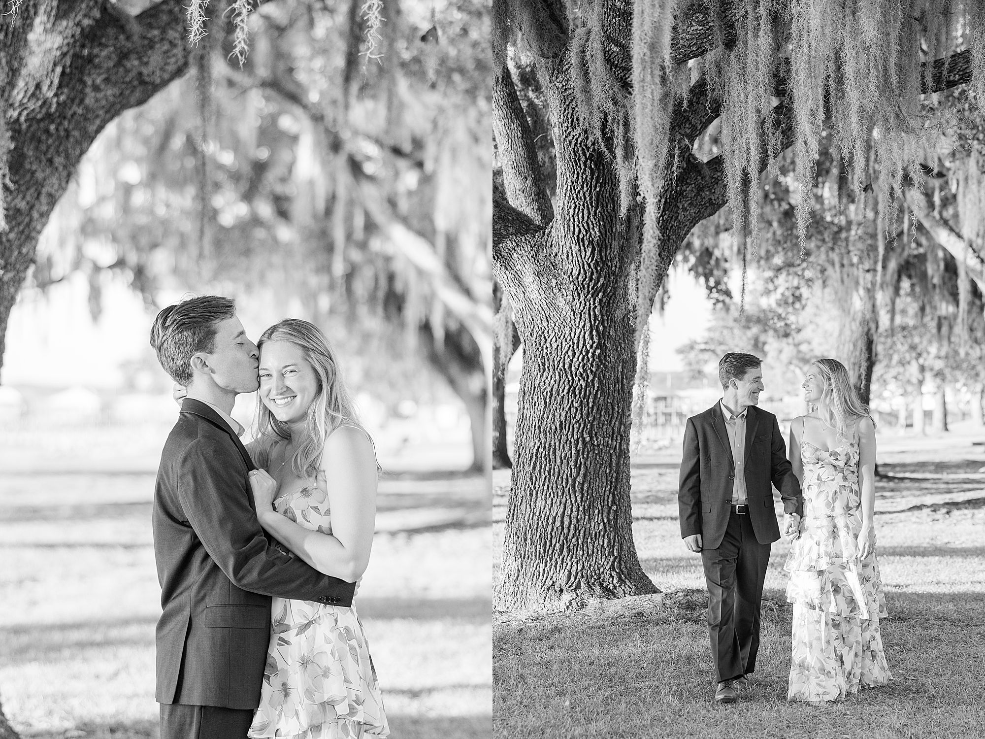 mossy tree portraits