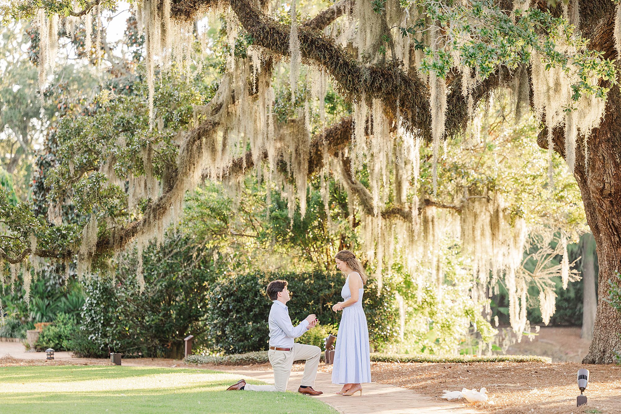 Grand Hotel Proposal