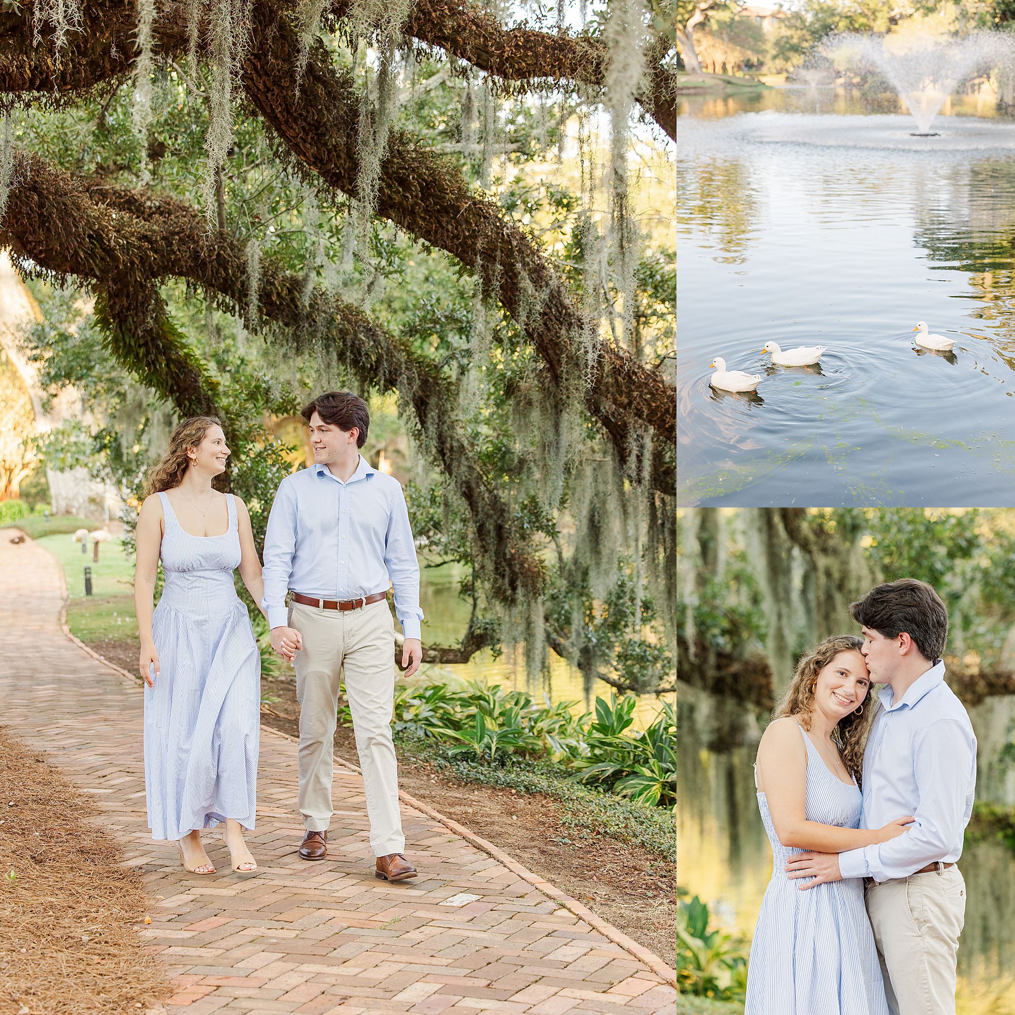 Duck pond and mossy oak trees